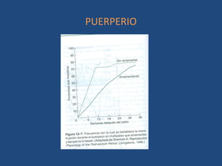PUERPERIO
 