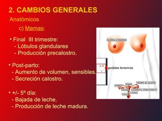 Precalostro Puerperio | PPT