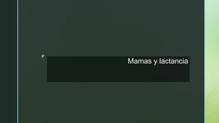 z
Mamas y lactancia
 
