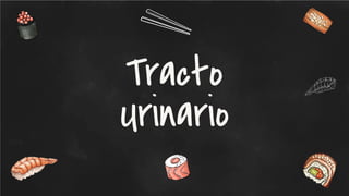 Tracto
Urinario
 