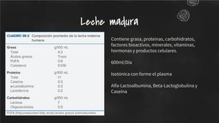 Contiene grasa, proteinas, carbohidratos,
factores bioactivos, minerales, vitaminas,
hormonas y productos celulares.
600ml/Día
Isotónica con forme el plasma
Alfa-Lactoalbumina, Beta-Lactoglobulina y
Caseína
Leche madura
 