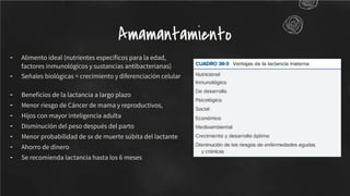 - Alimento ideal (nutrientes especíﬁcos para la edad,
factores inmunológicos y sustancias antibacterianas)
- Señales biológicas = crecimiento y diferenciación celular
- Beneﬁcios de la lactancia a largo plazo
- Menor riesgo de Cáncer de mama y reproductivos,
- Hijos con mayor inteligencia adulta
- Disminución del peso después del parto
- Menor probabilidad de sx de muerte súbita del lactante
- Ahorro de dinero
- Se recomienda lactancia hasta los 6 meses
Amamantamiento
 