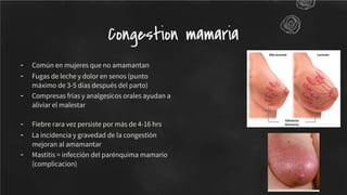 - Común en mujeres que no amamantan
- Fugas de leche y dolor en senos (punto
máximo de 3-5 días después del parto)
- Compresas frias y analgesicos orales ayudan a
aliviar el malestar
- Fiebre rara vez persiste por más de 4-16 hrs
- La incidencia y gravedad de la congestión
mejoran al amamantar
- Mastitis = infección del parénquima mamario
(complicacion)
Congestion mamaria
 