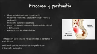 - Absceso ovárico es raro en puerperio
- Invasión bacteriana a cápsula ovárica = rotura y
peritonitis
- Peritonitis es rara en cesáreas
- Cursa con metritis, en casos de necrosis incisional
y dehiscencia
- Estreptococo beta hemolitico A
- Infección = útero intacto y si se extiende al peritoneo =
Antibióticos
Peritonitis por necrosis incisional o perforación
intestinal = quirurgico
Abscesos y peritonitis
 