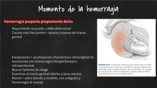 Hemorragia posparto propiamente dicha
- Mayormente se puede y debe determinar
- Causas más frecuentes = atonía y trauma del tracto
genital
- Excepciones = acumulacion intauterina e intravaginal no
reconocida con hemorragia intraperitoneal o
retroperitoneal
- Buscar factores de riesgo
- Examinar el tracto genital inferior y tono uterino
- Atonia = utero blando y mullido, con coágulos y
hemorragia al masaje
Momento de la hemorragia
 