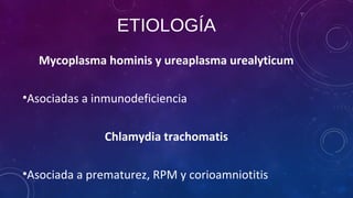 ETIOLOGÍA
Mycoplasma hominis y ureaplasma urealyticum
•Asociadas a inmunodeficiencia
Chlamydia trachomatis
•Asociada a prematurez, RPM y corioamniotitis
 