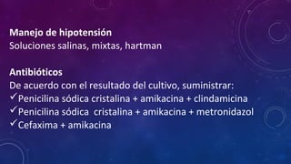 Manejo de hipotensión
Soluciones salinas, mixtas, hartman
Antibióticos
De acuerdo con el resultado del cultivo, suministrar:
Penicilina sódica cristalina + amikacina + clindamicina
Penicilina sódica cristalina + amikacina + metronidazol
Cefaxima + amikacina
 