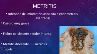 METRITIS
• Infección del miometrio asociada a endometritis
avanzadas
• Cuadro muy grave
• Fiebre persistente + dolor intenso
• Metritis disecante necrosis
muscular
 