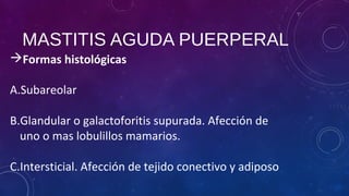 MASTITIS AGUDA PUERPERAL
Formas histológicas
A.Subareolar
B.Glandular o galactoforitis supurada. Afección de
uno o mas lobulillos mamarios.
C.Intersticial. Afección de tejido conectivo y adiposo
 