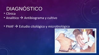 DIAGNÓSTICO
• Clínica
• Analítico  Antibiograma y cultivo
• PAAF  Estudio citológico y microbiológico
 