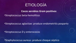 ETIOLOGÍA
Cocos aerobios Gram positivos
•Streptococcus beta-hemolítico
•Streptococcus aglactiae: produce endometritis posparto
•Streptococcus D y enterococos
•Staphylococcus aureus: produce choque séptico
 