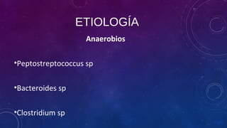 ETIOLOGÍA
Anaerobios
•Peptostreptococcus sp
•Bacteroides sp
•Clostridium sp
 
