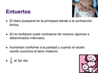 Entuertos
 El útero puerperal en la primípara tiende a la contracción
tónica.
 En la multípara suele contraerse de manera vigorosa a
determinados intervalos.
 Aumentan conforme a la paridad y cuando el recién
nacido succiona el seno materno.
 al 3er día
 