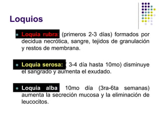Loquios
 Loquia rubra: (primeros 2-3 días) formados por
decidua necrótica, sangre, tejidos de granulación
y restos de membrana.
 Loquia serosa: ( 3-4 día hasta 10mo) disminuye
el sangrado y aumenta el exudado.
 Loquia alba: 10mo día (3ra-6ta semanas)
aumenta la secreción mucosa y la eliminación de
leucocitos.
 