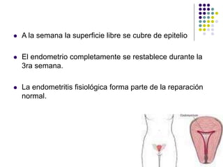  A la semana la superficie libre se cubre de epitelio
 El endometrio completamente se restablece durante la
3ra semana.
 La endometritis fisiológica forma parte de la reparación
normal.
 