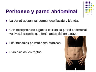 Peritoneo y pared abdominal
 La pared abdominal permanece flácida y blanda.
 Con excepción de algunas estrías, la pared abdominal
vuelve al aspecto que tenía antes del embarazo.
 Los músculos permanecen atónicos.
 Diastasis de los rectos
 