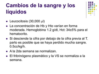 Cambios de la sangre y los
líquidos
 Leucocitosis (30,000 ml)
 La concentración de Hb y Hto varían en forma
moderada. Hemoglobina 1.2 g/dl, Hct: 34±5% para el
hematocrito.
 Si desciende la cifra por debajo de la cifra previa al T.
parto es posible que se haya perdido mucha sangre.
0.5cc/kg/h.
 A la 2da semana se normalizan.
 El fribrinógeno plasmático y la VS se normaliza a la
semana.
 