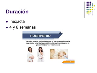 Duración
 Inexacta
 4 y 6 semanas
 