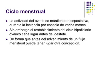Ciclo menstrual
 La actividad del ovario se mantiene en espectativa,
durante la lactancia por espacio de varios meses
 Sin embargo el restablecimiento del ciclo hipofisiario
ovárico tiene lugar antes del destete.
 De forma que antes del advenimiento de un flujo
menstrual puede tener lugar otra concepcion.
 