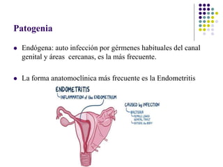 Patogenia
 Endógena: auto infección por gérmenes habituales del canal
genital y áreas cercanas, es la más frecuente.
 La forma anatomoclínica más frecuente es la Endometritis
 