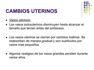 CAMBIOS UTERINOS
 Vasos uterinos:
 Los vasos extrauterinos disminuyen hasta alcanzar el
tamaño que tenían antes del embarazo.
 Los vasos uterinos se cierran por cambios hialinos. Se
reabsorben de manera gradual y son sustituidos por
vasos mas pequeños
 Algunos vestigios de los vasos grandes persiten durante
varios años
 