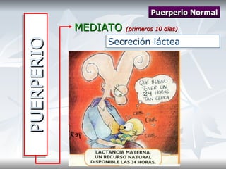 PUERPERIO MEDIATO  (primeros 10 días) Puerperio Normal Secreción láctea  