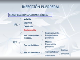 INFECCIÓN PUERPERAL CLASIFICACIÓN ANATOMOCLÍNICA IPL IPP Vulvitis Vaginitis Cervicitis Endometritis Por continuidad mucosa. Por vía linfática Por vía hemática Salpingoovaritis Pelviperitonitis peritonitis Metritis Parametritis peritonitis Tromboflebitis Septicemia Séptica Embólica 