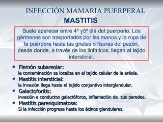 Flemón subareolar:   la contaminación se localiza en el tejido celular de la aréola. Mastitis intersticial: la invasión llega hasta el tejido conjuntivo interglandular. Galactoforitis: invasión a conductos galactóforos, inflamación de  sus paredes. Mastitis parenquimatosa: Si la infección progresa hasta los ácinos glandulares. INFECCIÓN MAMARIA PUERPERAL Suele aparecer entre 4º y5º día del puerperio.  Los gérmenes son trasportados por las manos y la ropa de la puérpera hasta las grietas o fisuras del pezón , desde donde, a través de los linfáticos, llegan al tejido intersticial. MASTITIS 
