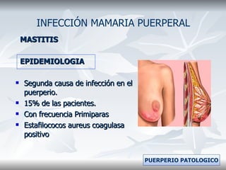MASTITIS EPIDEMIOLOGIA Segunda causa de infección en el puerperio. 15% de las pacientes. Con frecuencia Primiparas  Estafilococos aureus coagulasa positivo INFECCIÓN MAMARIA PUERPERAL PUERPERIO PATOLOGICO 