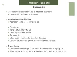 +
Endometritis
 Más frecuente localización de la infección puerperal
 Evidenciado en un 70% de las M
 Manifestaciones Clínicas
 Aparecen entre el 3er y 5to día pp
 Escalofríos
 Temperatura (39 y 40 C)
 Dolor hipogástrico fuerte
 Taquicardia
 Útero subinvolucionado, blando y doloroso
 Loquios abundantes, grises o achocolatados, fétidos
 Tratamiento
 Clindamicina 900 mg IV, c/8 horas + Gentamicina 3 mg/kg/ IV
 Ampicilina 2 g, IV, c/6 horas + Gentamicina 5 mg/kg, IV, c/24 horas
Infección Puerperal
 