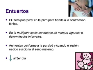 Entuertos
 El útero puerperal en la primípara tiende a la contracción
tónica.
 En la multípara suele contraerse de manera vigorosa a
determinados intervalos.
 Aumentan conforme a la paridad y cuando el recién
nacido succiona el seno materno.
 al 3er día
 