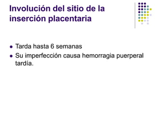 Involución del sitio de la
inserción placentaria
 Tarda hasta 6 semanas
 Su imperfección causa hemorragia puerperal
tardía.
 