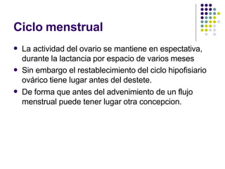 Ciclo menstrual
 La actividad del ovario se mantiene en espectativa,
durante la lactancia por espacio de varios meses
Sin embargo el restablecimiento del ciclo hipofisiario
ovárico tiene lugar antes del destete.
De forma que antes del advenimiento de un flujo
menstrual puede tener lugar otra concepcion.


 