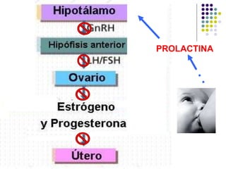 PROLACTINA
 