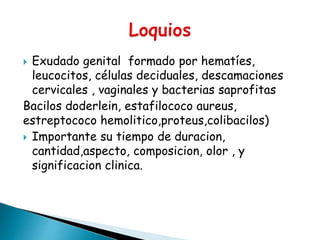 Exudado genital formado por hematíes,
leucocitos, células deciduales, descamaciones
cervicales , vaginales y bacterias saprofitas
Bacilos doderlein, estafilococo aureus,
estreptococo hemolitico,proteus,colibacilos)
 Importante su tiempo de duracion,
cantidad,aspecto, composicion, olor , y
significacion clinica.
 