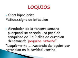  Olor: hipoclorito
Fetidez:signo de infeccion
 Alrededor de la tercera semana
puerperal se aprecia una perdida
sanguinea de 1 a 2 dias de duracion
denominada ‘pequeno retorno”
*Loquiometra …..Ausencia de loquios,por
retencion en la cavidad uterina
 