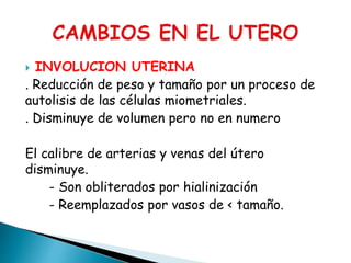  INVOLUCION UTERINA
. Reducción de peso y tamaño por un proceso de
autolisis de las células miometriales.
. Disminuye de volumen pero no en numero
El calibre de arterias y venas del útero
disminuye.
- Son obliterados por hialinización
- Reemplazados por vasos de < tamaño.
 