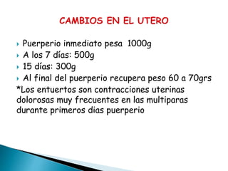 Puerperio inmediato pesa 1000g
 A los 7 días: 500g
 15 días: 300g
 Al final del puerperio recupera peso 60 a 70grs
*Los entuertos son contracciones uterinas
dolorosas muy frecuentes en las multiparas
durante primeros dias puerperio
 