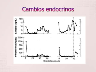 Cambios endocrinos