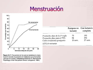 Menstruación
