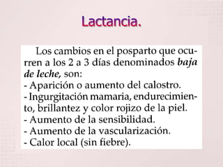 Lactancia.