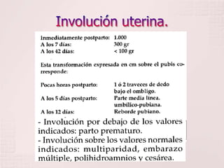 Involución uterina.