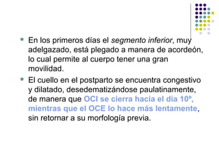  En los primeros días el segmento inferior, muy
adelgazado, está plegado a manera de acordeón,
lo cual permite al cuerpo tener una gran
movilidad.
 El cuello en el postparto se encuentra congestivo
y dilatado, desedematizándose paulatinamente,
de manera que OCI se cierra hacia el día 10º,
mientras que el OCE lo hace más lentamente,
sin retornar a su morfología previa.
 