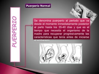 Se denomina puerperio al periodo que va
desde el momento inmediatamente posterior
al parto hasta los 35-40 días y que es el
tiempo que necesita el organismo de la
madre para recuperar progresivamente las
características que tenía antes de iniciarse
el embarazo
 
