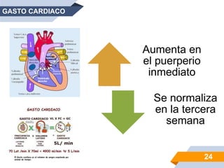 GASTO CARDIACO
Aumenta en
el puerperio
inmediato
Se normaliza
en la tercera
semana
24
 