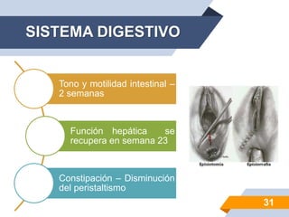 SISTEMA DIGESTIVO
Tono y motilidad intestinal –
2 semanas
Función hepática se
recupera en semana 23
Constipación – Disminución
del peristaltismo
31
 