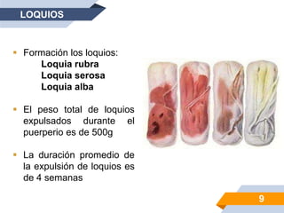 LOQUIOS
9
 Formación los loquios:
Loquia rubra
Loquia serosa
Loquia alba
 El peso total de loquios
expulsados durante el
puerperio es de 500g
 La duración promedio de
la expulsión de loquios es
de 4 semanas
 