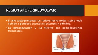 REGION ANOPERINEOVULVAR:
• El ano suele presentar un rodete hemorroidal, sobre todo
debido a periodos expulsivos extensos y difíciles.
• La estrangulación y las flebitis son complicaciones
frecuentes.
 
