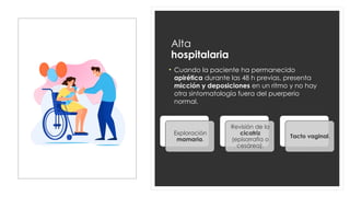 Alta
hospitalaria
• Cuando la paciente ha permanecido
apirética durante las 48 h previas, presenta
micción y deposiciones en un ritmo y no hay
otra sintomatología fuera del puerperio
normal.
Exploración
mamaria.
Revisión de la
cicatriz
(episorrafia o
cesárea).
Tacto vaginal.
 