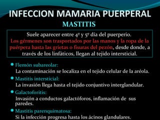 Puerperio patologico | PPT